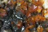 Quartz Cluster with Iron/Manganese Oxide - Diamond Hill, SC #90974-1